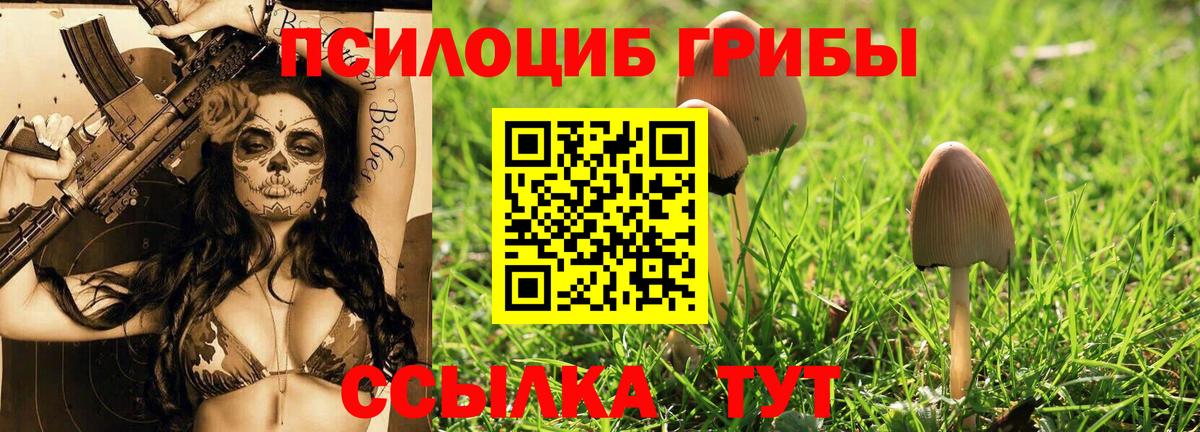 Галлюциногенные грибы прущие грибы  Вход с VPN  Курчатов  Галлюциногенные грибы ЛСД 